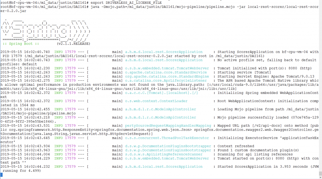 Rest server for model