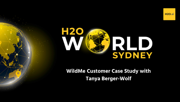 wildme-tanya-bergerwolf