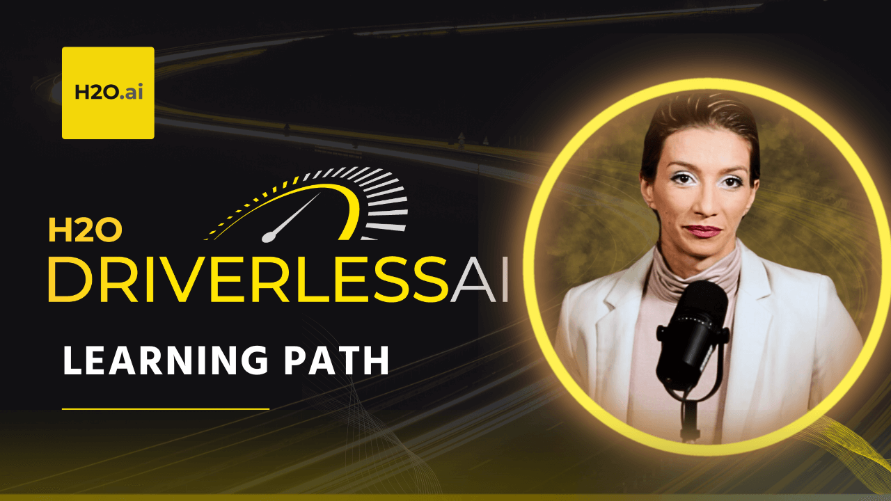 H2O Driverless AI