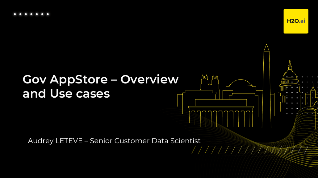 H2O GenAI World Training DC Gov AppStore Overview and Use cases