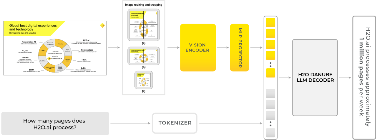 A diagram depicting the H2OVL Mississippi model architecture