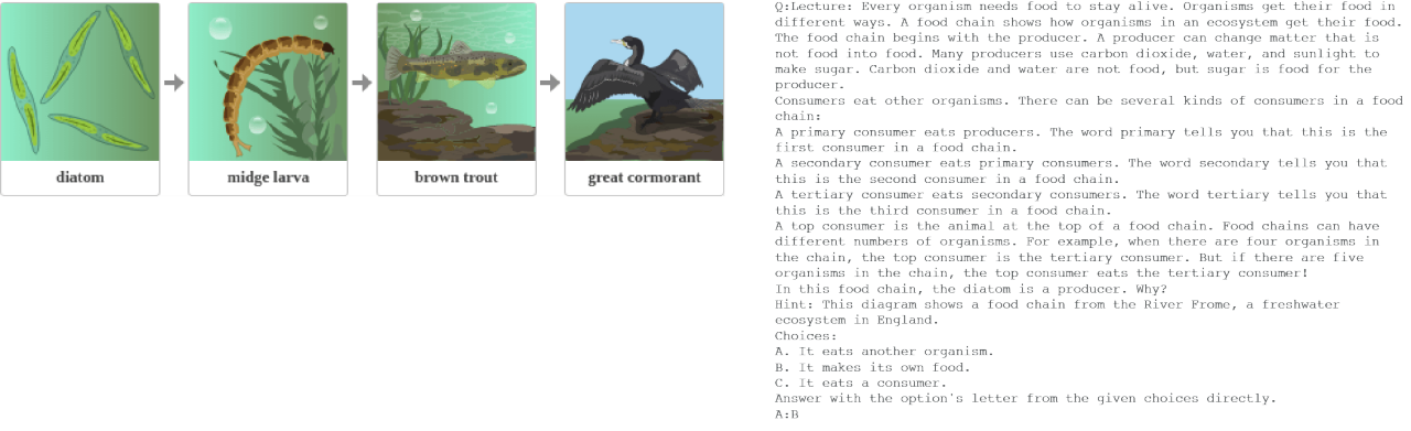 This image represents a prompt and generated answer that's meant to illustrate H2OVL Mississippi's capacity to understand textbook questions. The image itself shows a diagram depicting a simple aquatic food chain. It starts with diatoms (green, leaf-shaped organisms), followed by midge larvae (brown segmented organism), then a brown trout (a fish), and ends with a great cormorant (a black bird with spread wings). The sequence illustrates the flow of energy from producers (diatoms) to primary consumers (midge larvae), secondary consumers (brown trout), and finally tertiary consumers (great cormorant), visually representing the concept of a food chain in an ecosystem.