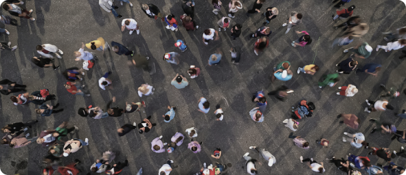 bird's eye view on pedestrians