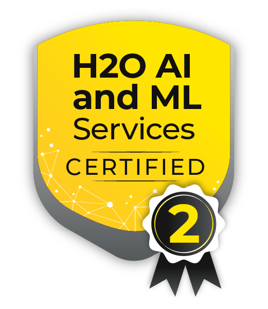 H2O AI & ML Services Level 2 