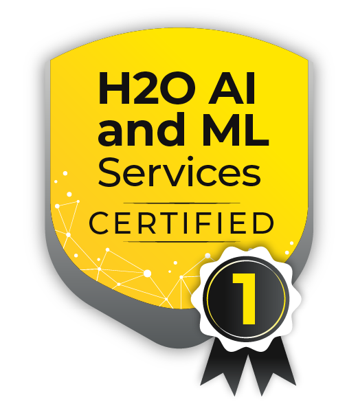 H2O AI & ML Services Level 1